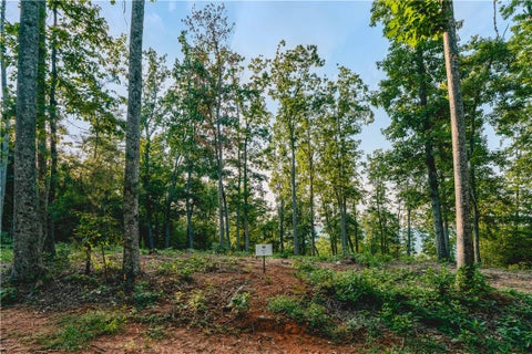 Vacant Land For Sale - 200 Chestnut Mountain Road<br/> Travelers Rest, SC 29690