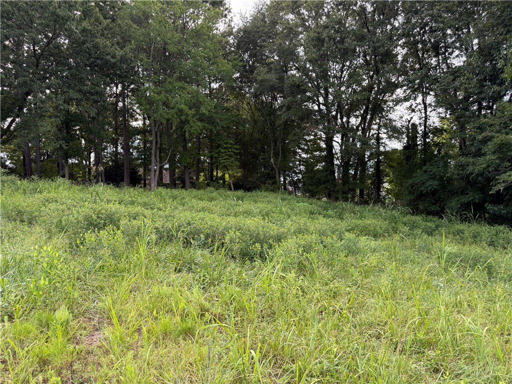 Anderson, South Carolina 29621, United States, ,Land,Active,191351