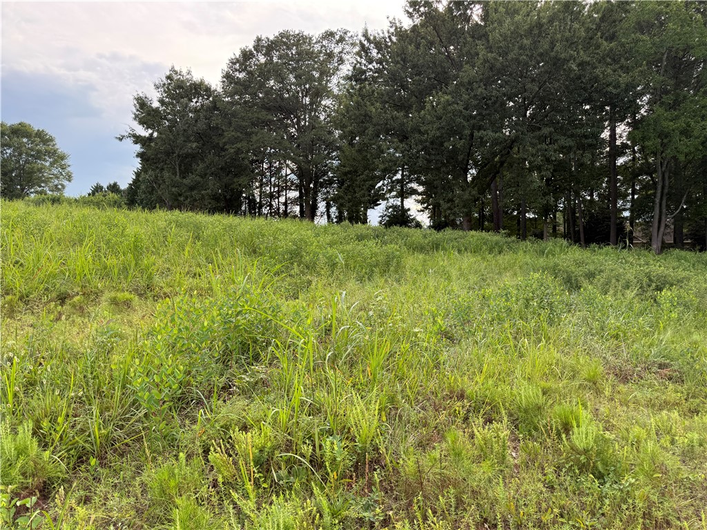 Anderson, South Carolina 29621, United States, ,Land,Active,191351