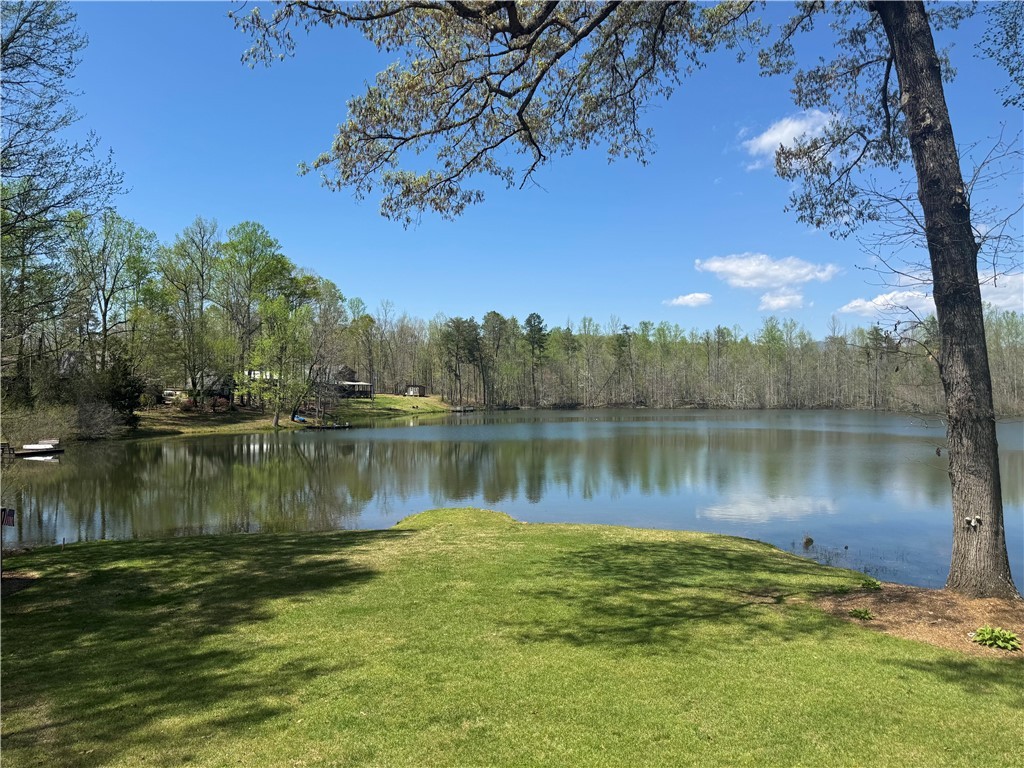 271 Piper Lane, Pickens, South Carolina image 26