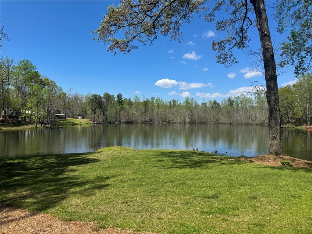 271 Piper Lane, Pickens, South Carolina image 3