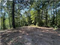 585 Cement Spring Road, Westminster, South Carolina image 8