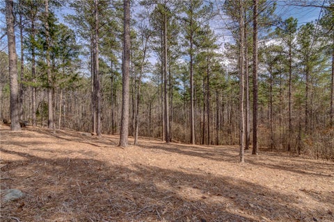 Vacant Land For Sale - LOT 20 Grays Peak Drive<br/> Salem, SC 29676