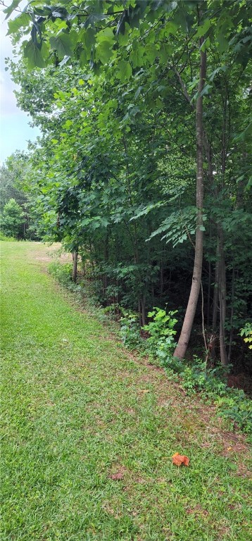 E-15 Jocassee Ridge Way, Salem, South Carolina image 3