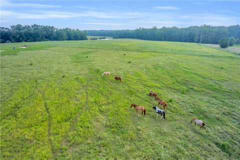 Vacant Land For Sale - 00 Docheno Road<br/> Belton, SC 29627