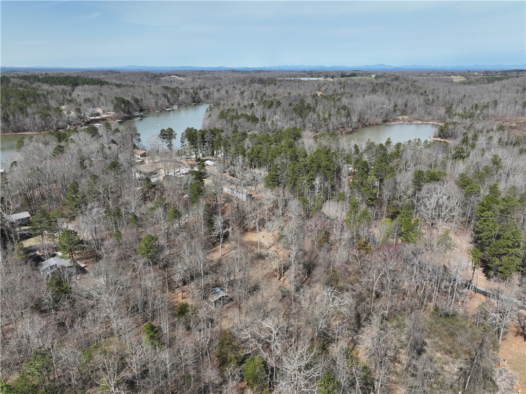 389 Fishers Cove Road, Fair Play, South Carolina image 3