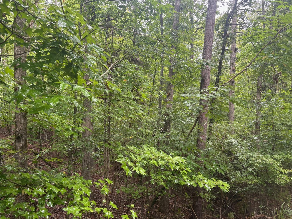 Abbeville, South Carolina 29620, United States, ,Land,Active,132994