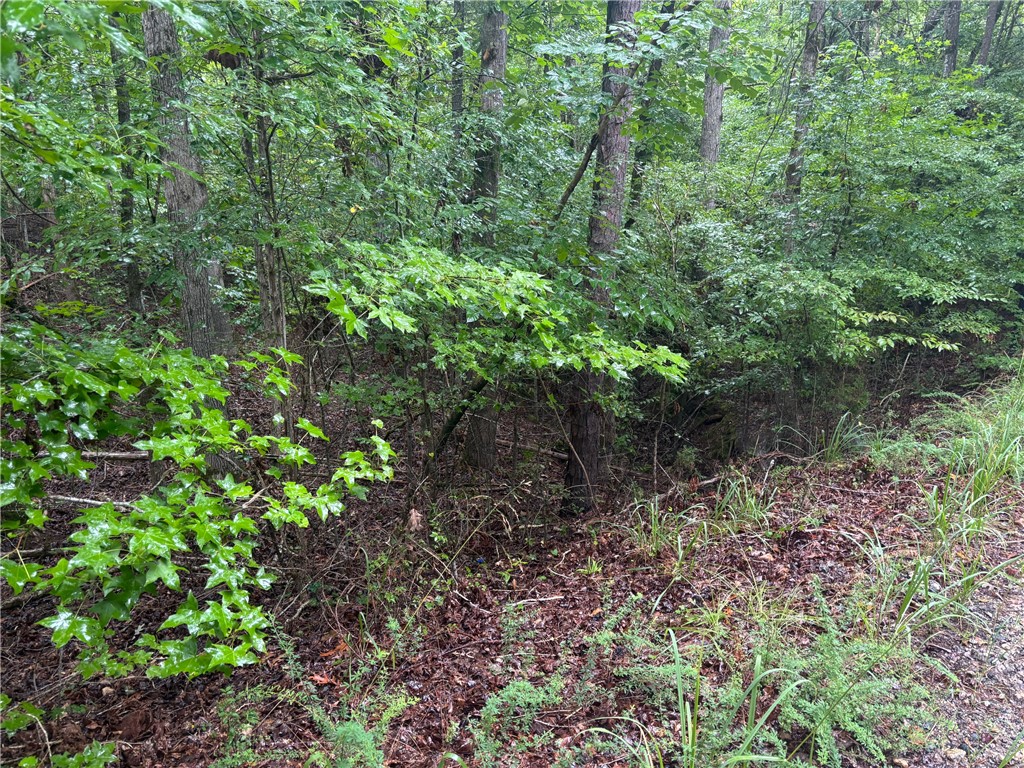 Abbeville, South Carolina 29620, United States, ,Land,Active,132994