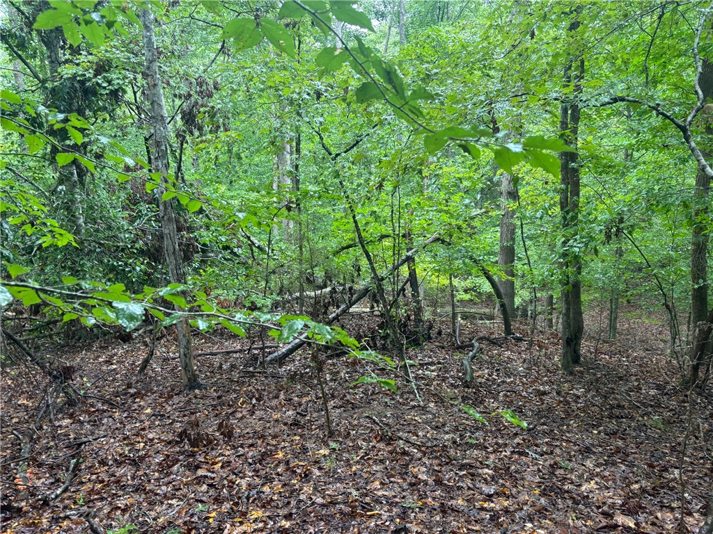 Abbeville, South Carolina 29620, United States, ,Land,Active,132994