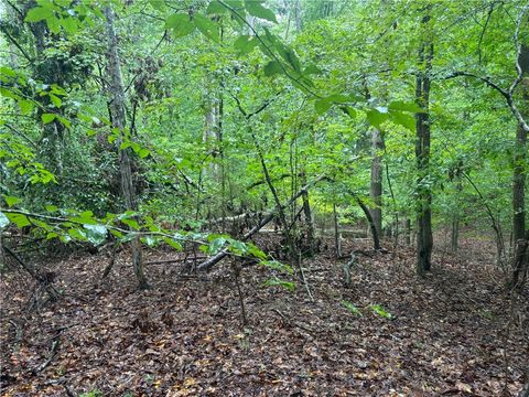 Vacant Land For Sale - Lake Forest Drive<br/> Abbeville, SC 29620