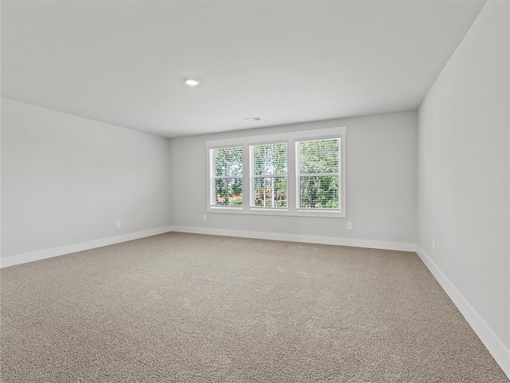 108 Veracruz Court, Greenville, South Carolina image 30