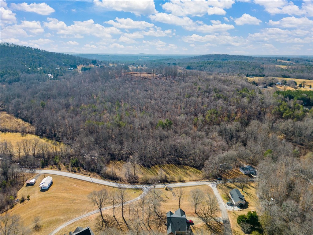 312 N Glassy Mountain Road, Pickens, South Carolina image 3
