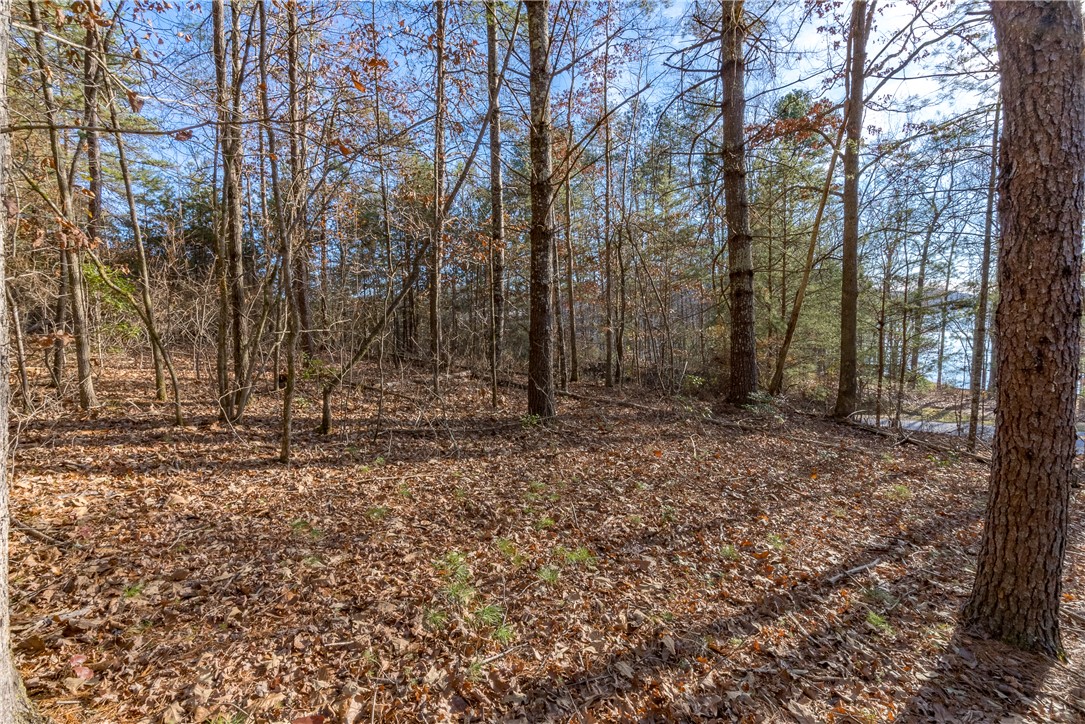 Lot 46 Princess Tree Way, Sunset, South Carolina image 1