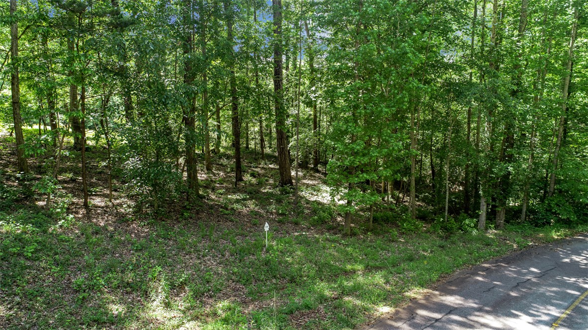 138 Tulip Lane, Westminster, South Carolina image 1
