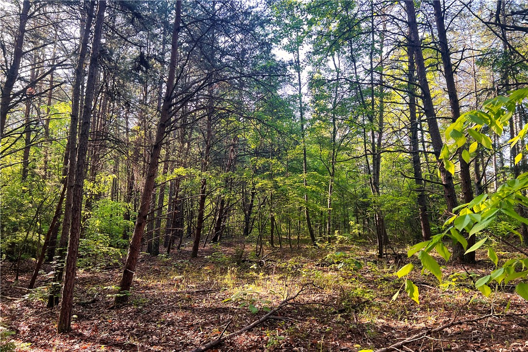 00X Rock Cut Road, Smyrna, South Carolina image 6