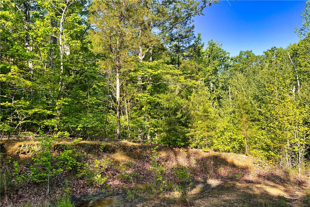 00X Rock Cut Road, Smyrna, South Carolina image 15