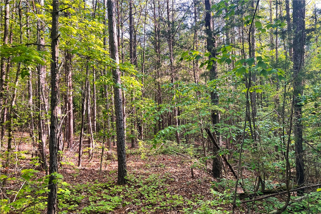 00X Rock Cut Road, Smyrna, South Carolina image 14