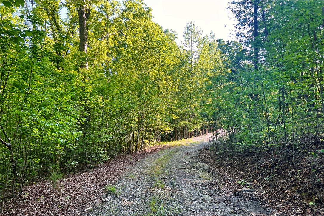 00X Rock Cut Road, Smyrna, South Carolina image 4