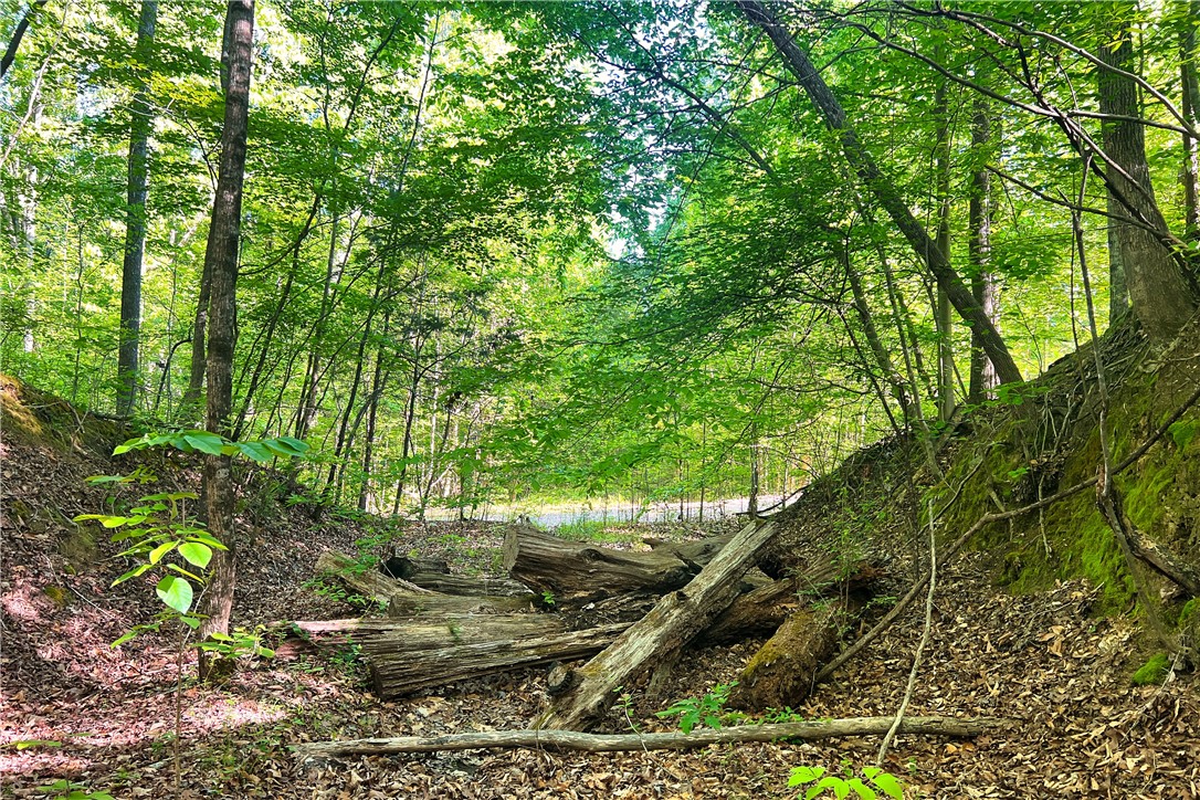 00X Rock Cut Road, Smyrna, South Carolina image 13