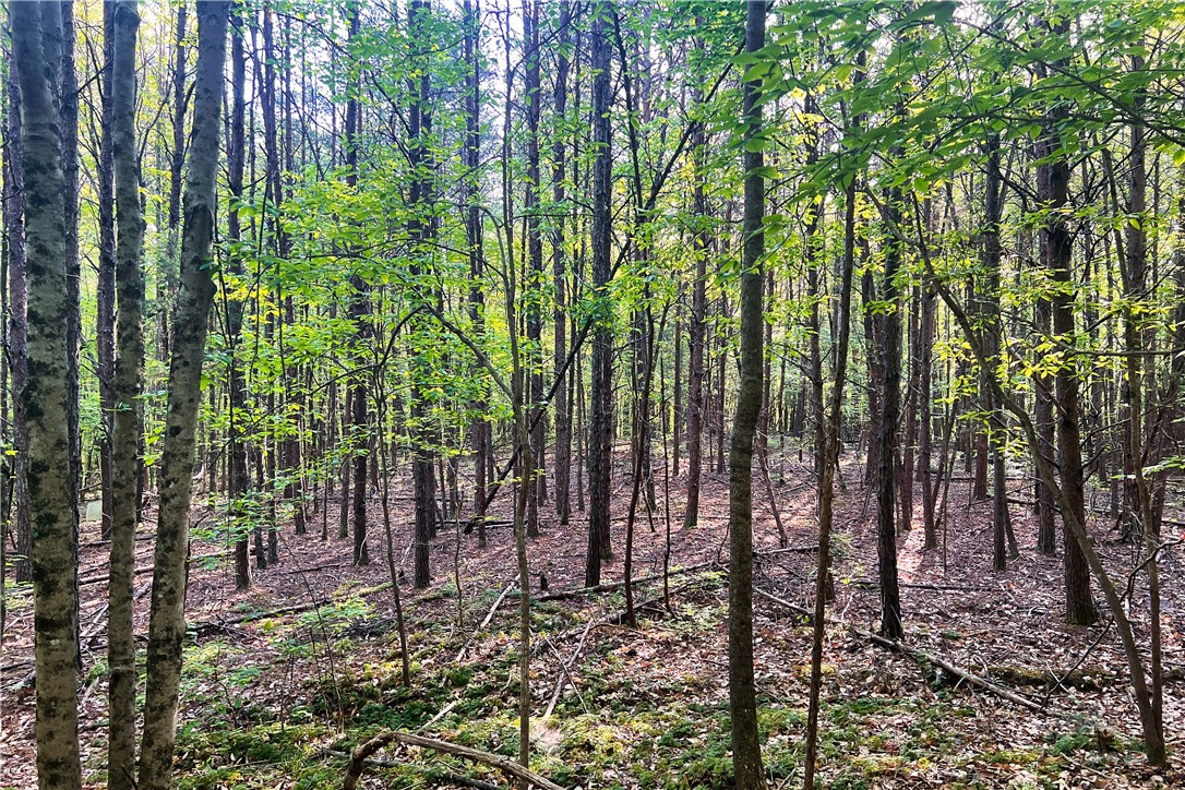 00X Rock Cut Road, Smyrna, South Carolina image 9