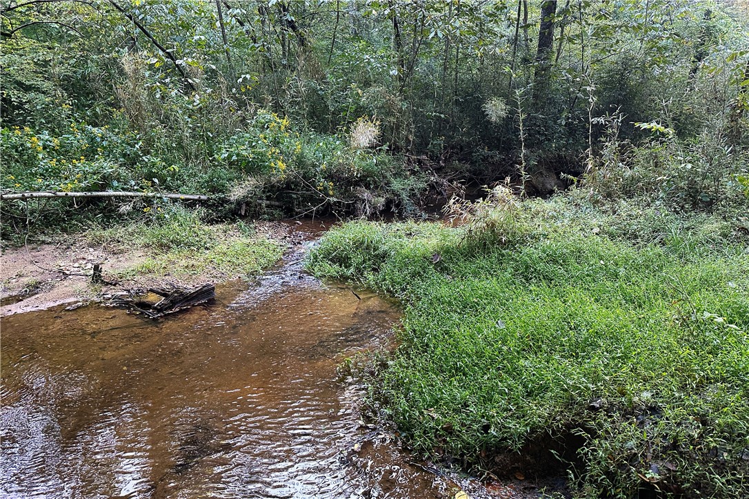00X Rock Cut Road, Smyrna, South Carolina image 8