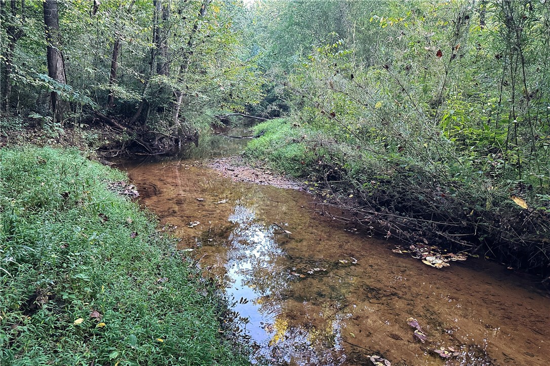 00X Rock Cut Road, Smyrna, South Carolina image 1