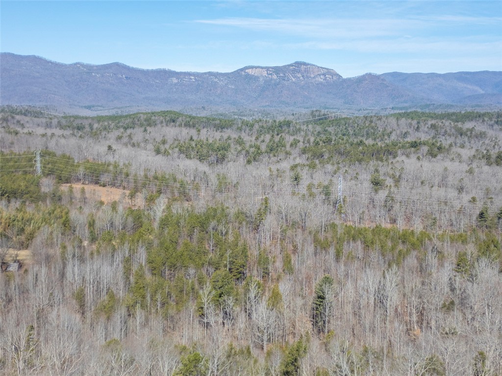 199 Corn Mill Road, Pickens, South Carolina image 11