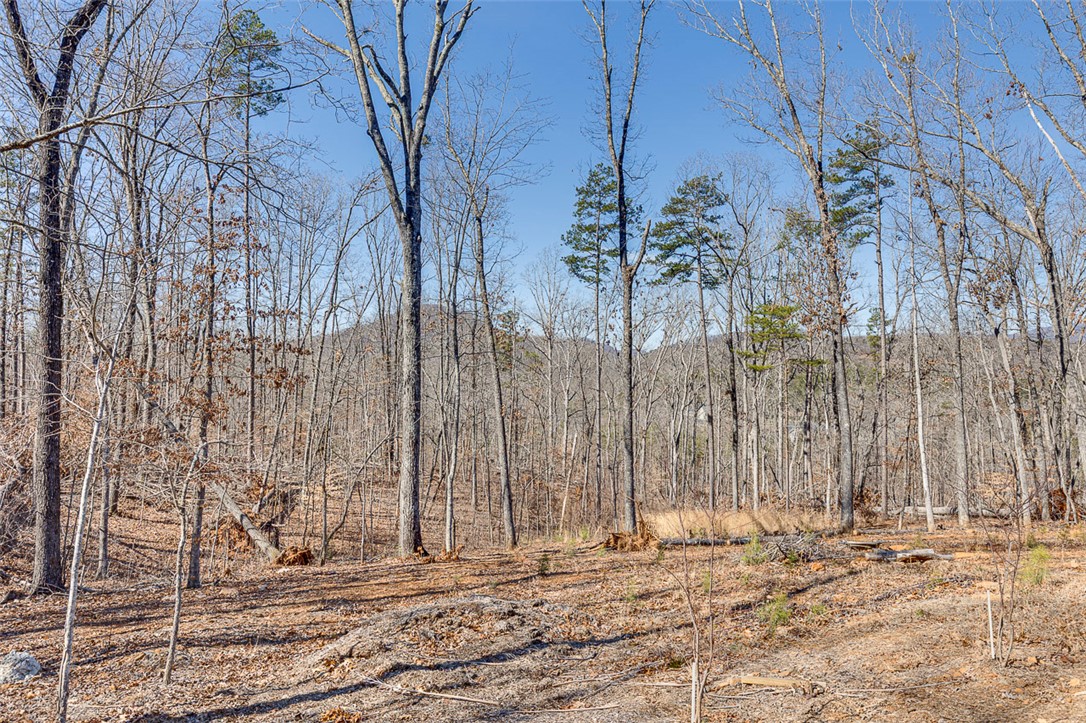 199 Corn Mill Road, Pickens, South Carolina image 39