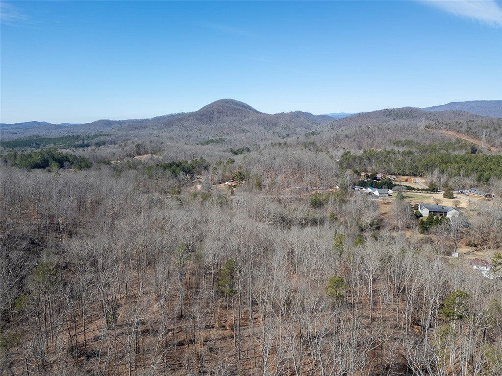 199 Corn Mill Road, Pickens, South Carolina image 46
