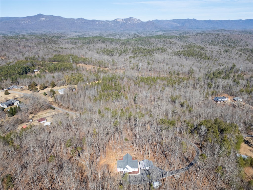 199 Corn Mill Road, Pickens, South Carolina image 49