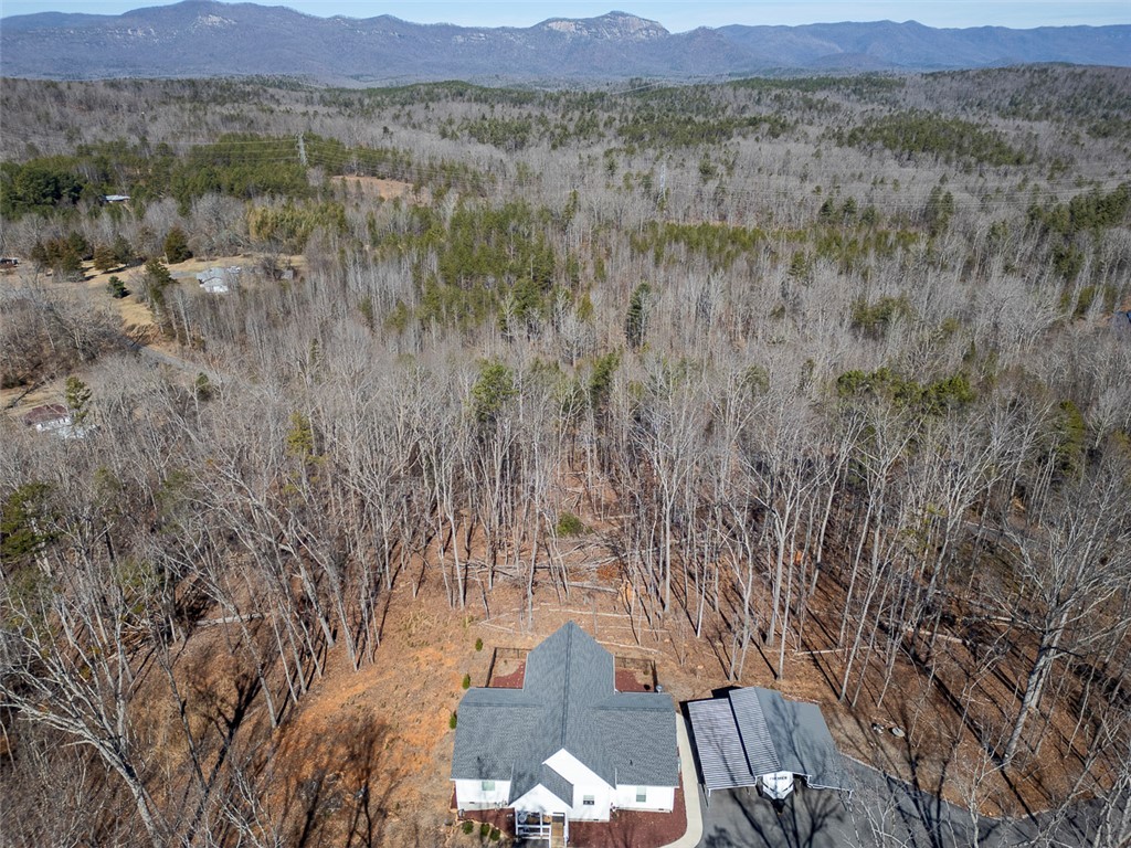 199 Corn Mill Road, Pickens, South Carolina image 44