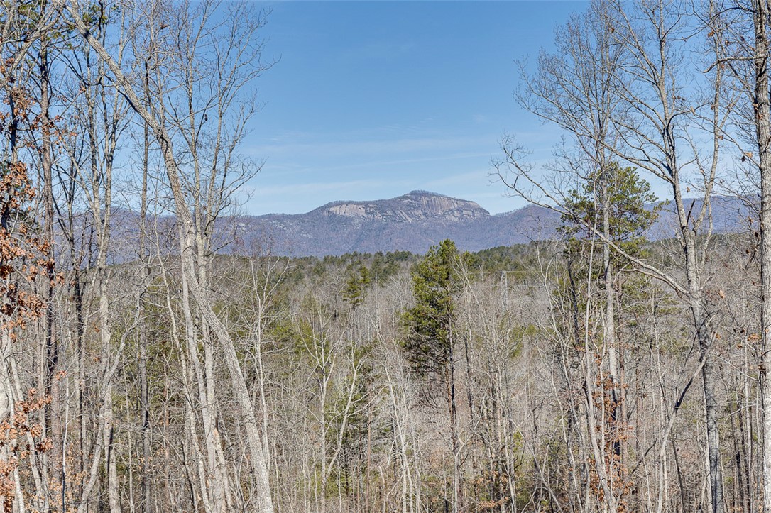 199 Corn Mill Road, Pickens, South Carolina image 7