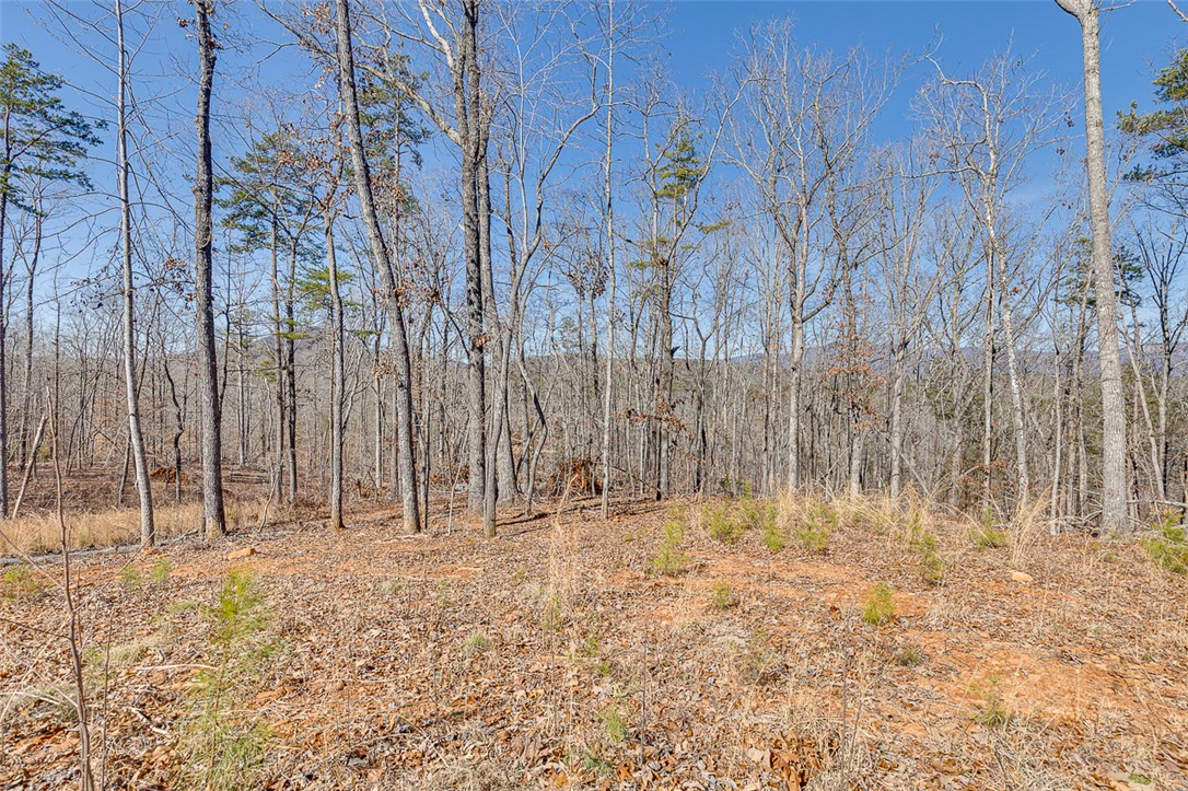 199 Corn Mill Road, Pickens, South Carolina image 10