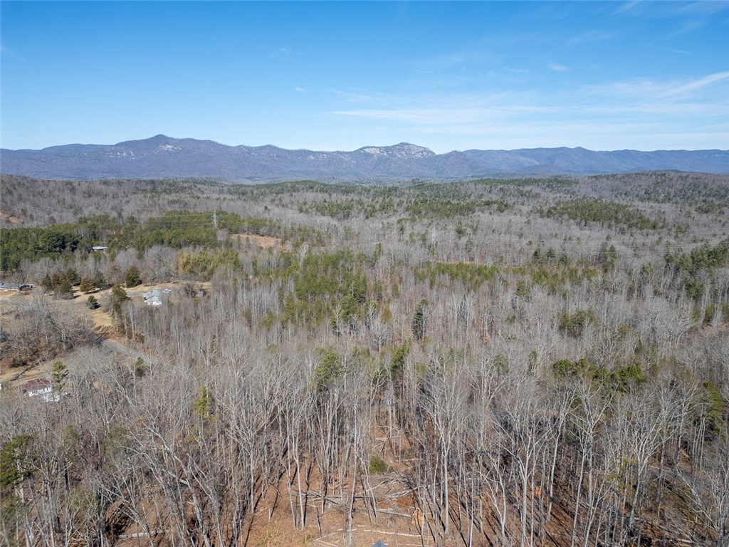 199 Corn Mill Road, Pickens, South Carolina image 45