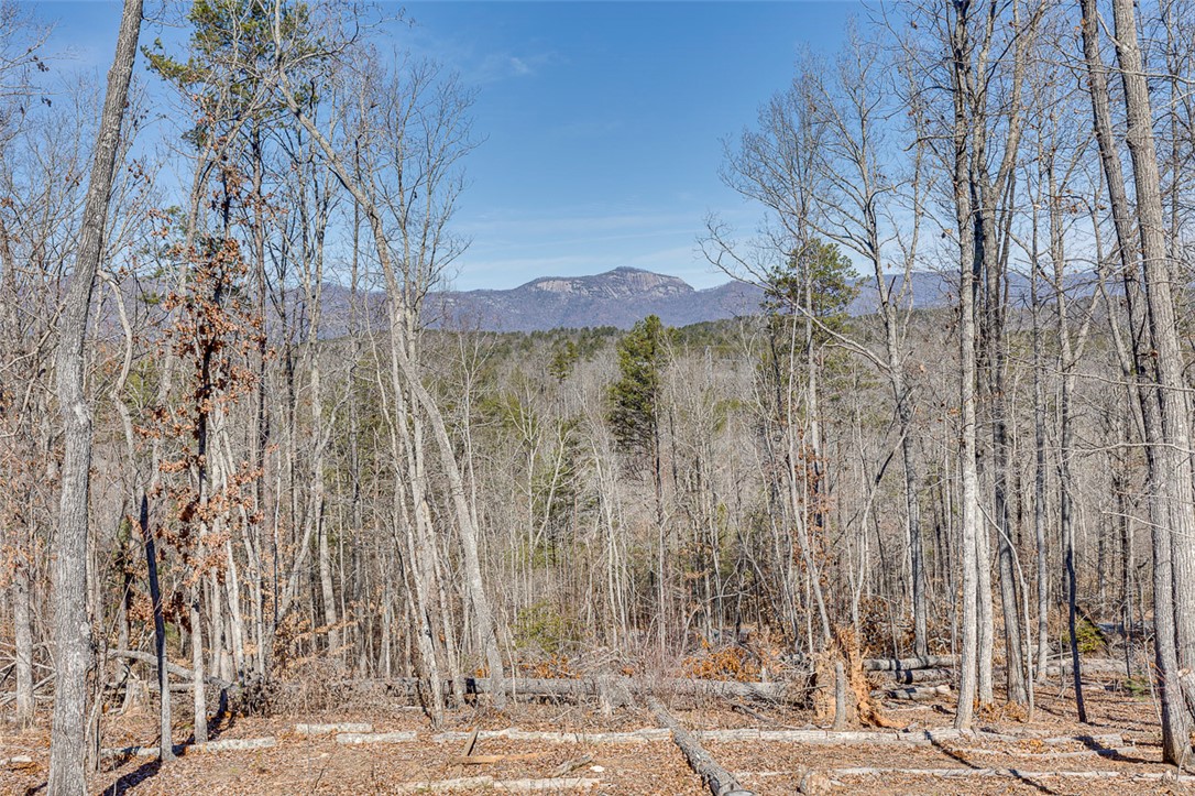 199 Corn Mill Road, Pickens, South Carolina image 8