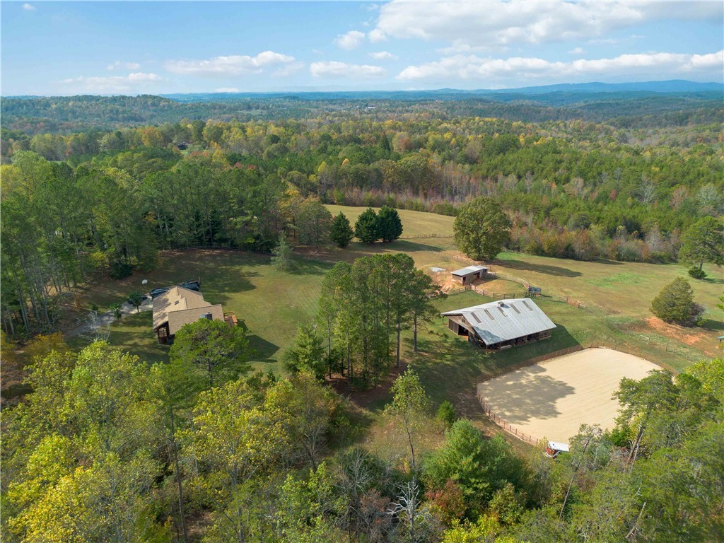 1100 Mile Creek Road, Pickens, South Carolina image 36