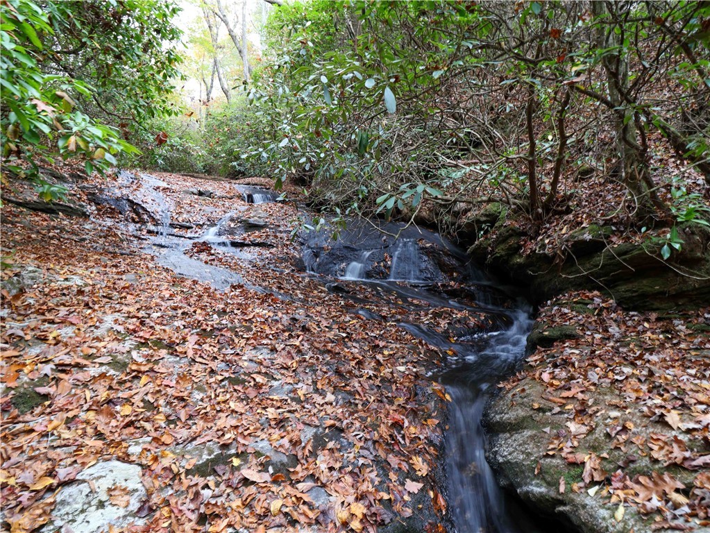 1100 Mile Creek Road, Pickens, South Carolina image 39