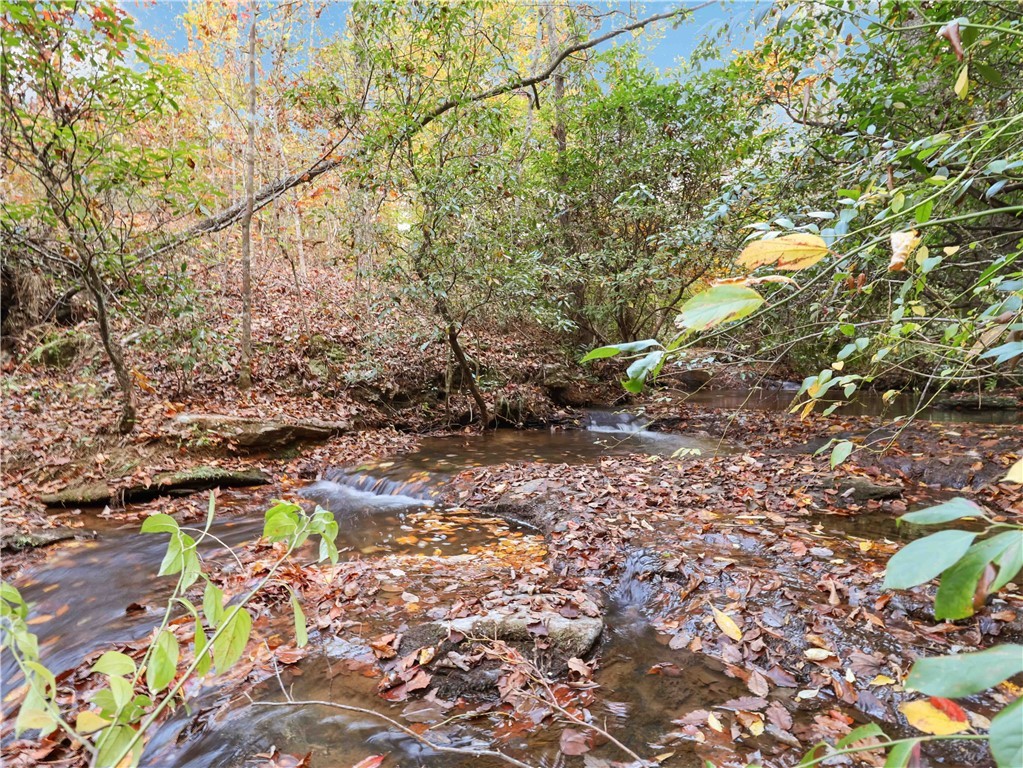 1100 Mile Creek Road, Pickens, South Carolina image 34