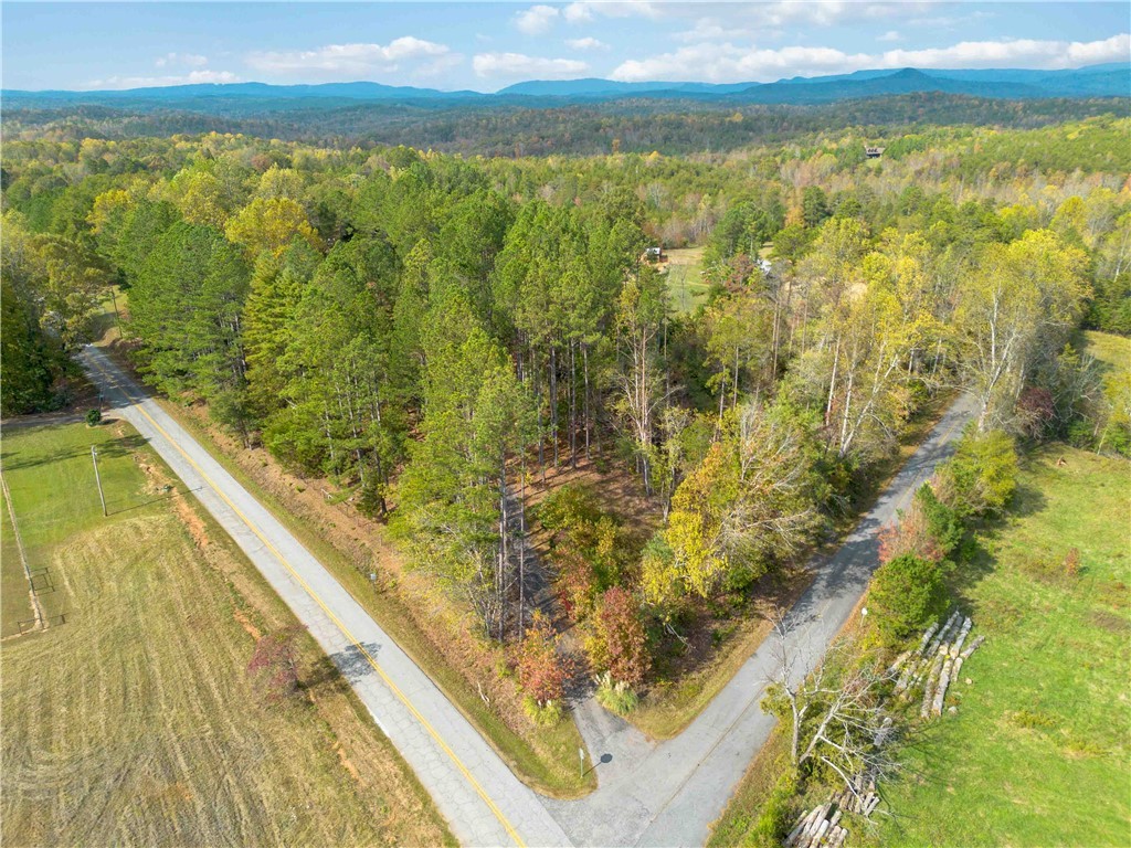 1100 Mile Creek Road, Pickens, South Carolina image 35