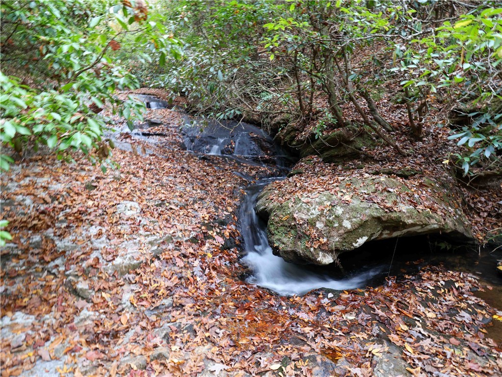 1100 Mile Creek Road, Pickens, South Carolina image 38