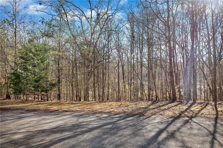 Mature trees and clear blue skies await your dream home