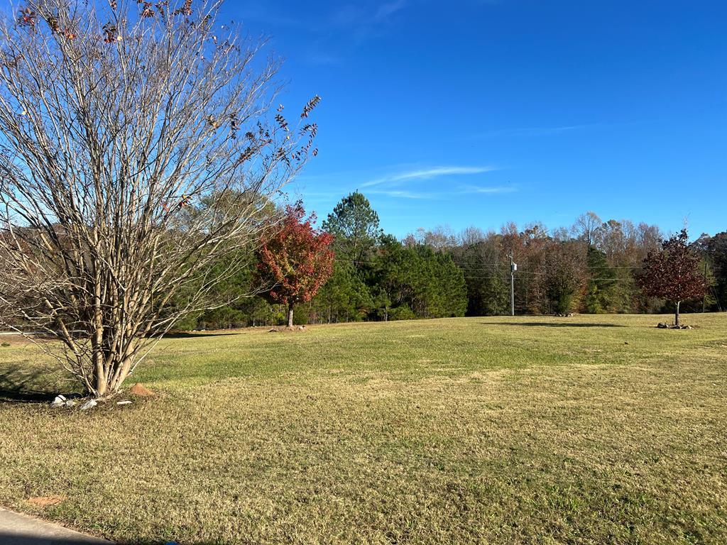 203 Thelma Lane, McCormick, South Carolina image 8