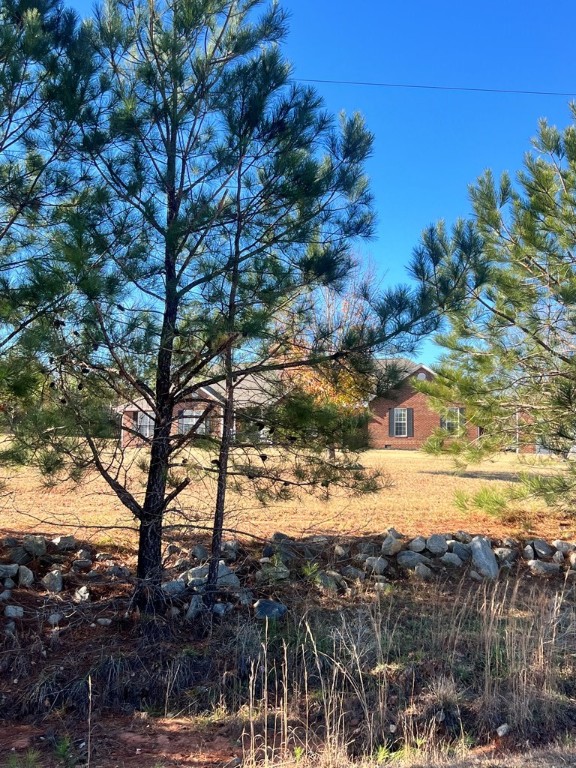 203 Thelma Lane, McCormick, South Carolina image 4