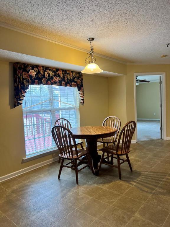 203 Thelma Lane, McCormick, South Carolina image 15