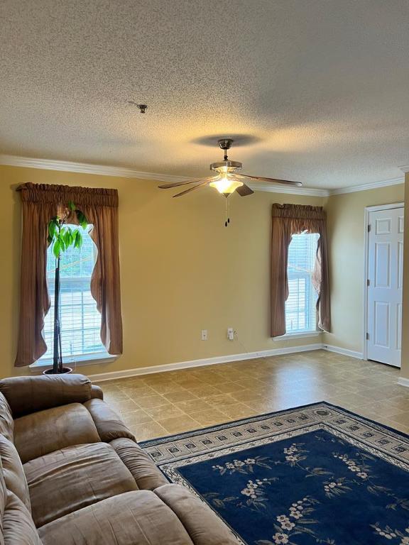 203 Thelma Lane, McCormick, South Carolina image 10
