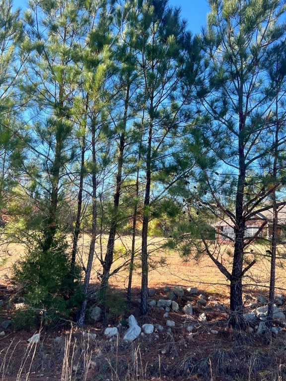 203 Thelma Lane, McCormick, South Carolina image 3