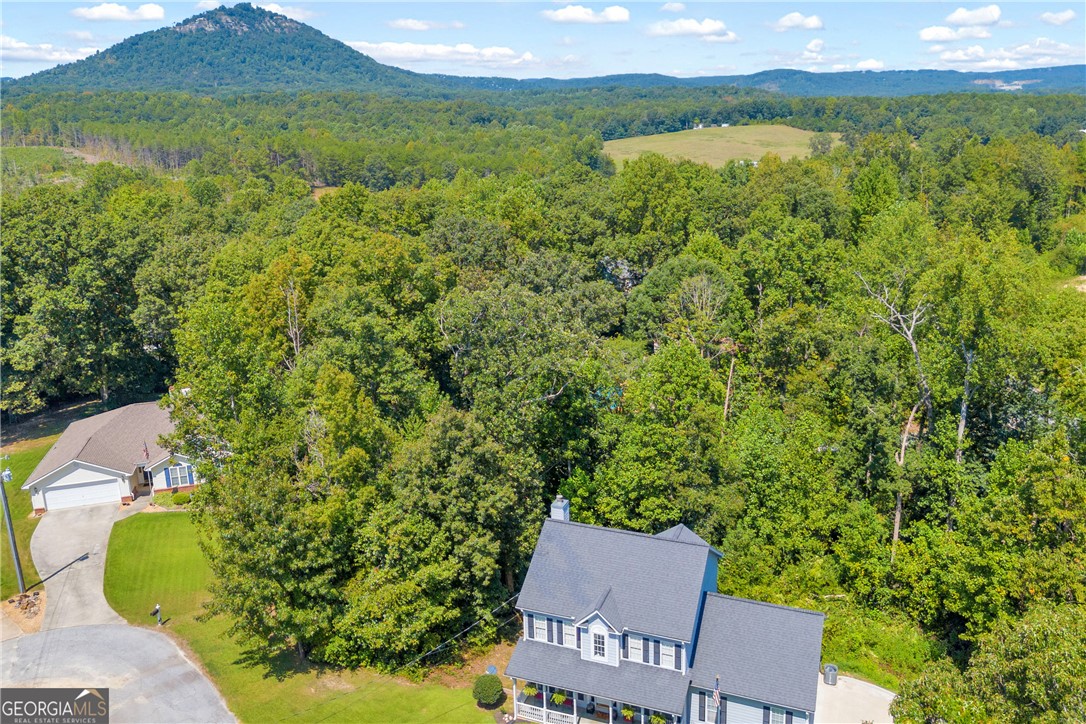20 Shenandoah Drive, Toccoa, Georgia image 11