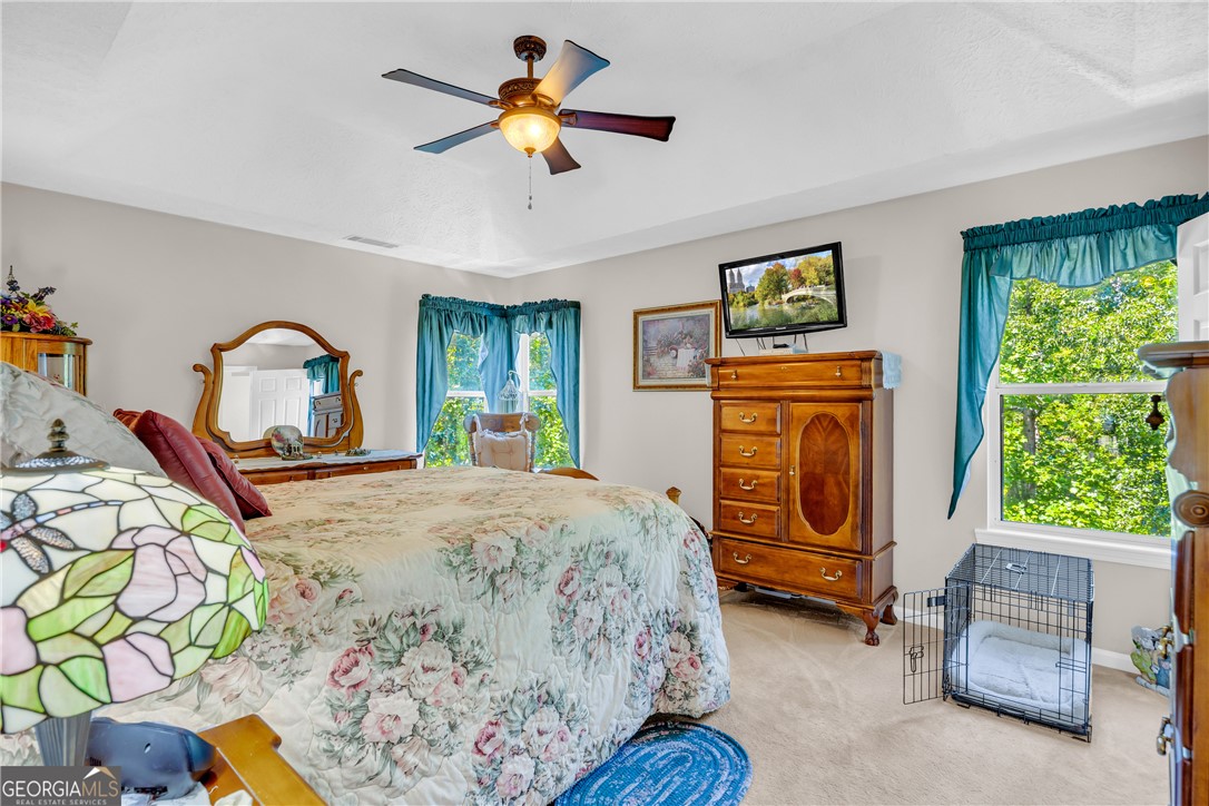 20 Shenandoah Drive, Toccoa, Georgia image 31