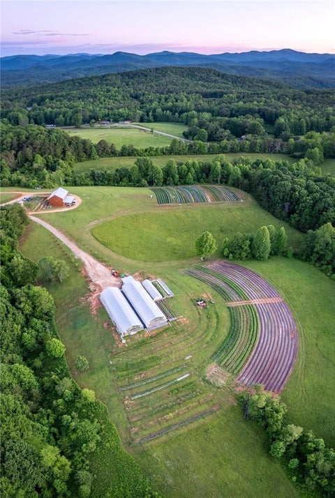 Photo of 498 Raines Road, Mountain Rest, SC 29664 (MLS # 20305280)