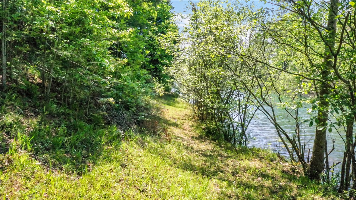 49 Longshore Drive, Salem, South Carolina image 15